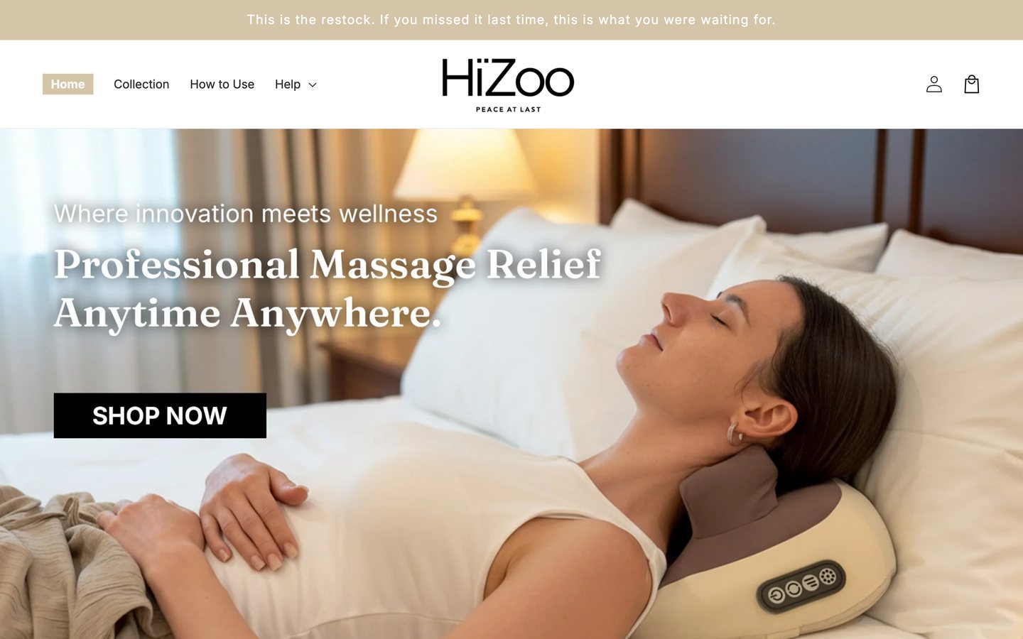 HiZoo storefront